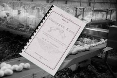 How To Preserve Eggs 1885 (48 Pages)