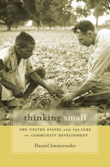 Thinking Small: The United States and the Lure of Community Development