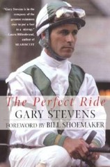 The Perfect Ride – Paperback By Kaufman, Mervyn – GOOD