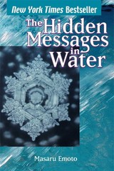 The Hidden Messages in Water – Emoto, Masaru – Good – See condition notes