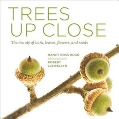 Trees Up Close: The Beauty of Their Bark, Leaves, Flowers, and Seeds (See – GOOD