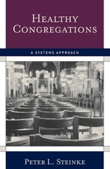 Peter L. Steinke Healthy Congregations (Paperback) (UK IMPORT)
