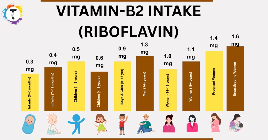 Daily vitamin b2 Intake 
