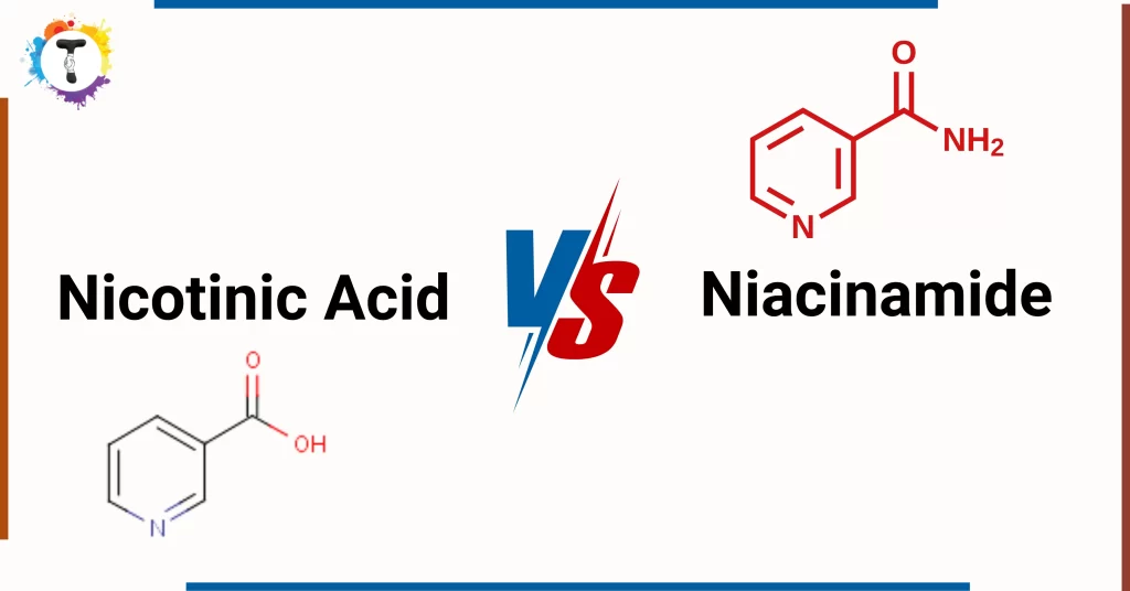Nicotinic Acid vs Niacinamide – Which Should You Choose? 
